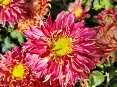 -西北湖绿化广场