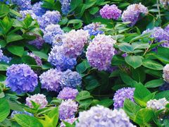 -常州古运河南大街文化旅游区-人民公园