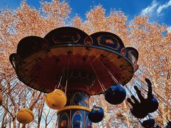 -上海共青森林公园