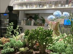 -春树下·树屋花房西餐厅(罍街AS1980店)