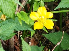 -国家植物园南园