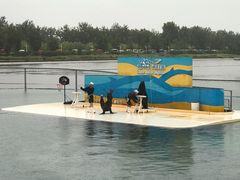 -秦皇岛乐岛海洋王国