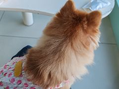 -怪兽屋·羊驼·猫咖·狗咖(俊华广场店)