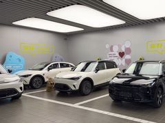 -上海浦东smart汽车全功能店(金桥店)