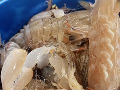 -澜悦港海鲜体验主题餐厅