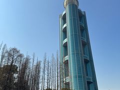 -华西村