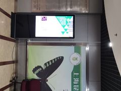 -上海昆虫博物馆