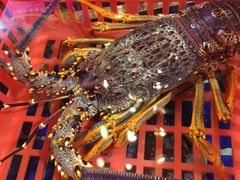 -79号渔船海鲜饭店(华强北店)