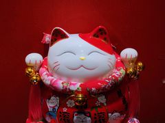 -禧鳳記·猪肚鸡火锅(玖洲道店)