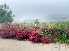 -北马山庄植趣咖啡