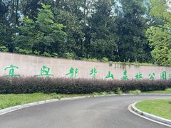 -宜兴龙背山森林公园