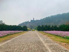 -南沙蒲洲花园