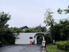 -白鹭湾湿地公园