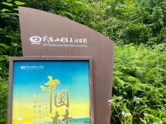 -武陵山森林公园