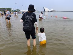 -碧海金沙