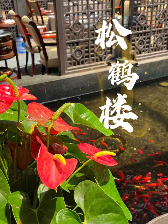 松鹤楼(月坛店)-"在月坛附近的一个院内,今天正赶上孩爸的生.