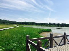 -塞罕坝国家级自然保护区