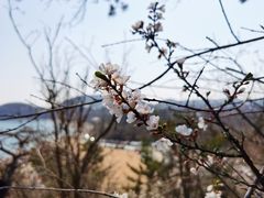 -棒棰岛宾馆景区