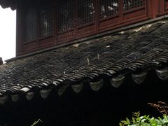 -水绘园