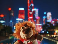 -深圳星河丽思卡尔顿酒店