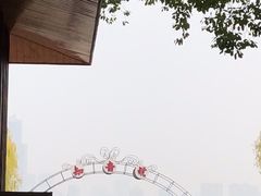 -武汉知音号