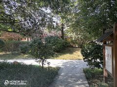 -咸宁万豪温泉谷度假区