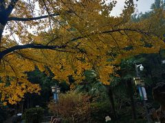 景点-伯先公园