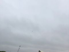 -碧海金沙