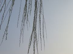 -迎泽公园