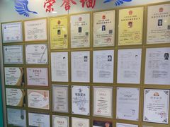 -博特宠物医院24h犬猫全科.骨科·异宠