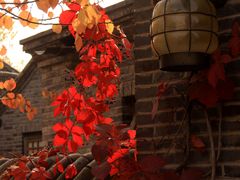 -卧龙堡客栈·中餐厅(古北水镇店)