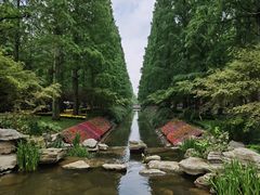-东平国家森林公园