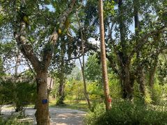 -中国科学院西双版纳热带植物园