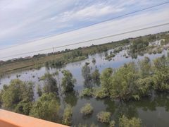 -黑河国家森林公园