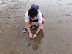 -南汇新城海滩