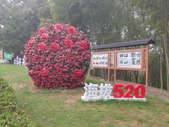 -乌石村