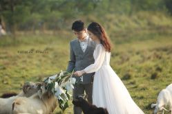 -巴黎婚纱摄影工作室