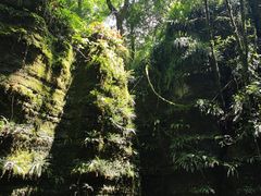 -梭布垭石林景区