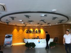 -漩门湾国家湿地公园