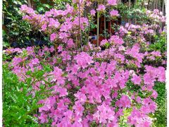 -阳光山水江湖菜馆(西山龙门店)