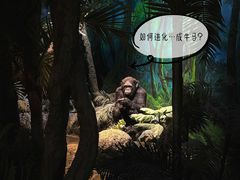 -国家自然博物馆