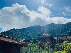 -深圳仙湖植物园