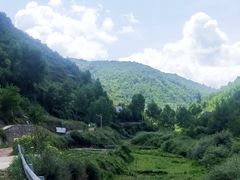 -云顶山风景区