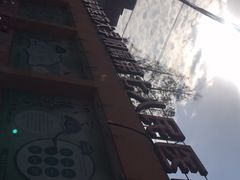 -上海市第七人民医院