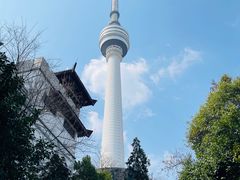 -龟山风景区-龟山电视塔