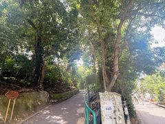 -南丫岛