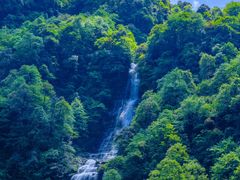 -瓦屋山景区