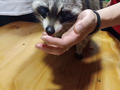 -藦茜花园宠物主题亲子互动体验馆(国顺东路店)