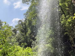 -龙苍沟森林公园