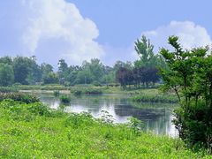 -两河城市森林公园